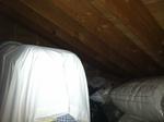 11-Unit Motel w/3BR Owners Quarters Auction Photo