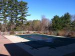 Pool Auction Photo