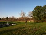 Rear Lawn Auction Photo