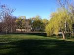 Front Lawn Auction Photo