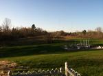 Rear Lawn Auction Photo