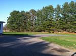 Side Lawn Auction Photo