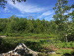 Waterfront Cottage - .11+/- Acres - Phillips LakeVillage of “Lucerne-In-Maine” Auction Photo