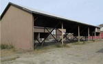 State-of-the-Art Pine Shavings Mill - Outbuildings  -  34+/- Acres - 2BR Gambrel Home/Office Auction Photo