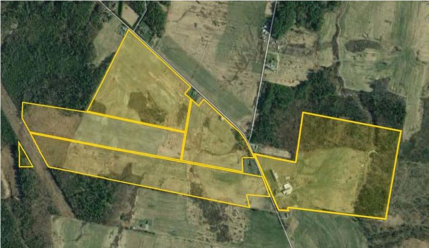 208+/- Acre Farm – Home – Barns - Outbuildings Auction Photo