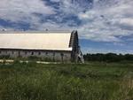 208+/- Acre Farm – Home – Barns - Outbuildings Auction Photo