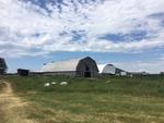 Stall Barn and Hoop Barn Auction Photo