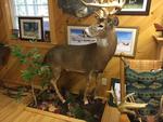 Custom Log Home - 72.5+/- Acres - Pond, 48 East Buskport Rd., Orrington, Maine Auction Photo