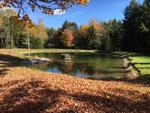 Custom Log Home - 72.5+/- Acres - Pond, 48 East Buskport Rd., Orrington, Maine Auction Photo