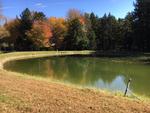 Custom Log Home - 72.5+/- Acres - Pond, 48 East Buskport Rd., Orrington, Maine Auction Photo