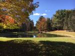 Custom Log Home - 72.5+/- Acres - Pond, 48 East Buskport Rd., Orrington, Maine Auction Photo