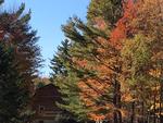 Custom Log Home - 72.5+/- Acres - Pond, 48 East Buskport Rd., Orrington, Maine Auction Photo