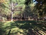 Custom Log Home - 72.5+/- Acres - Pond, 48 East Buskport Rd., Orrington, Maine Auction Photo