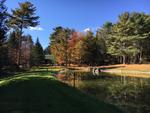 Custom Log Home - 72.5+/- Acres - Pond, 48 East Buskport Rd., Orrington, Maine Auction Photo