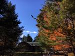 Custom Log Home - 72.5+/- Acres - Pond, 48 East Buskport Rd., Orrington, Maine Auction Photo