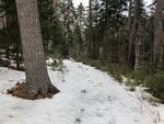 7.1+/- Acre Oceanfront Parcel, Mt. Desert Narrows - Taunton Bay Auction Photo