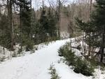 7.1+/- Acre Oceanfront Parcel, Mt. Desert Narrows - Taunton Bay Auction Photo