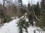7.1+/- Acre Oceanfront Parcel, Mt. Desert Narrows - Taunton Bay Auction Photo