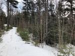 7.1+/- Acre Oceanfront Parcel, Mt. Desert Narrows - Taunton Bay Auction Photo