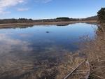 Biddeford Pool Auction Photo