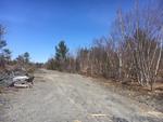 55+/- AC – 500,000+/- Tons DOT Approved Slate Aggregate - Woodlands - Katahdin Views Auction Photo