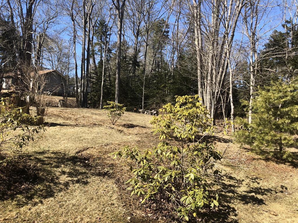 2BR Saltbox Style Home - Fireplace - Gardens - 2.8+/- Acres Auction Photo