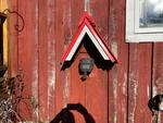 SUGARLOAF AREA 2BR Farmhouse – Barn – 3.2+/- Acres  Auction Photo