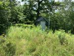 1.27+/- Acre Home Site Auction Photo