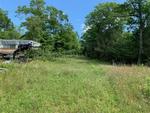 1.27+/- Acre Home Site Auction Photo