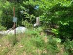 1.27+/- Acre Home Site Auction Photo