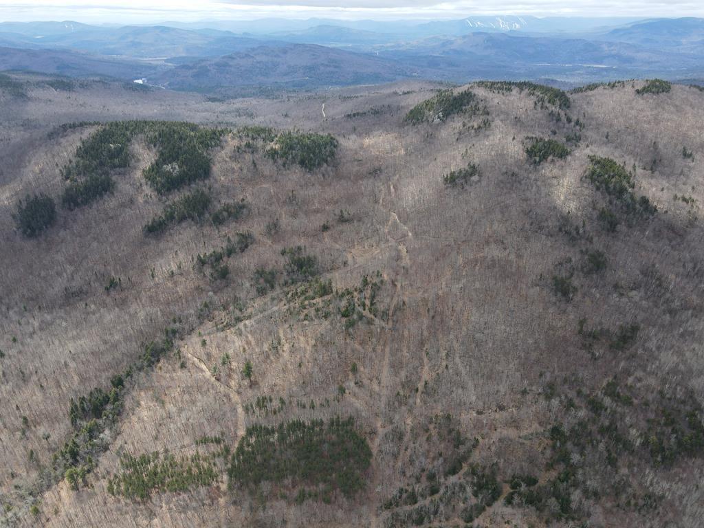 Lot 22 Eaton Hill Rd., Rumford - 99+/-Acres Auction Photo