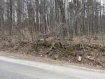 Lot 23 Eaton Hill Rd., Rumford - 77+/-Acres Auction Photo