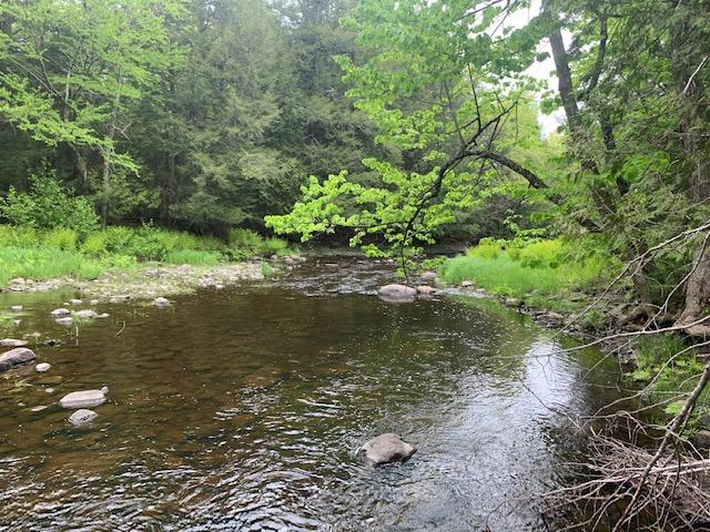 Lots 6 & 6.1 Moosehead Trail, Rt. 7, Dixmont - Camp on 41+/-Acres Auction Photo