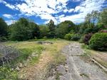4BR 2-Story Home - 15+/- Acres Auction Photo