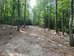 15+/- Acres Development/Private Family Estate Land Auction Photo