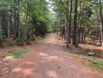 15+/- Acres Development/Private Family Estate Land Auction Photo