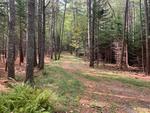 15+/- Acres Development/Private Family Estate Land Auction Photo