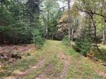 15+/- Acres Development/Private Family Estate Land Auction Photo