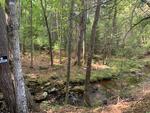 15+/- Acres Development/Private Family Estate Land Auction Photo