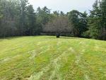 15+/- Acres Development/Private Family Estate Land Auction Photo