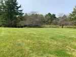 15+/- Acres Development/Private Family Estate Land Auction Photo