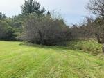 15+/- Acres Development/Private Family Estate Land Auction Photo