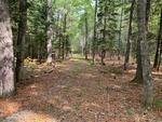 15+/- Acres Development/Private Family Estate Land Auction Photo