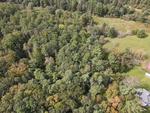 15+/- Acres Development/Private Family Estate Land Auction Photo