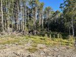 3+/- Acres Residential Development Land Auction Photo