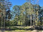 3+/- Acres Residential Development Land Auction Photo