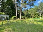 2BR Cape - Garage - 1+/- Acres Auction Photo