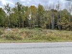 .68+/- Acre Residential Lot Auction Photo