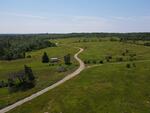 226+/- Acre Blueberry Farm - 3BR Farmhouse/Office - Large Barn/Production Building  Auction Photo