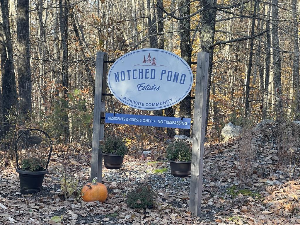 41+/- Acres  Lot #13 Notched Pond Estates Auction Photo
